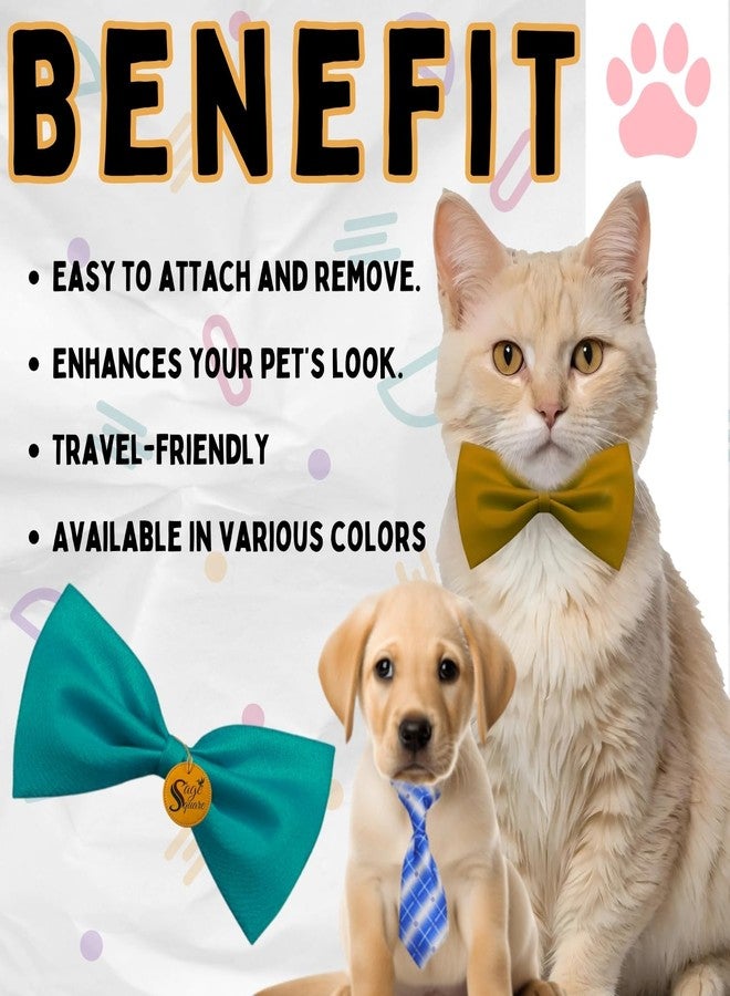 Sage Square Dog Tie & Bow Tie Combo - Stylish Accessories | Adjustable Fit for Comfort | Small to Large Breeds | Elegant & Adorable Design for Special Occasions | Everyday Wear (Random Colour) - Image 3